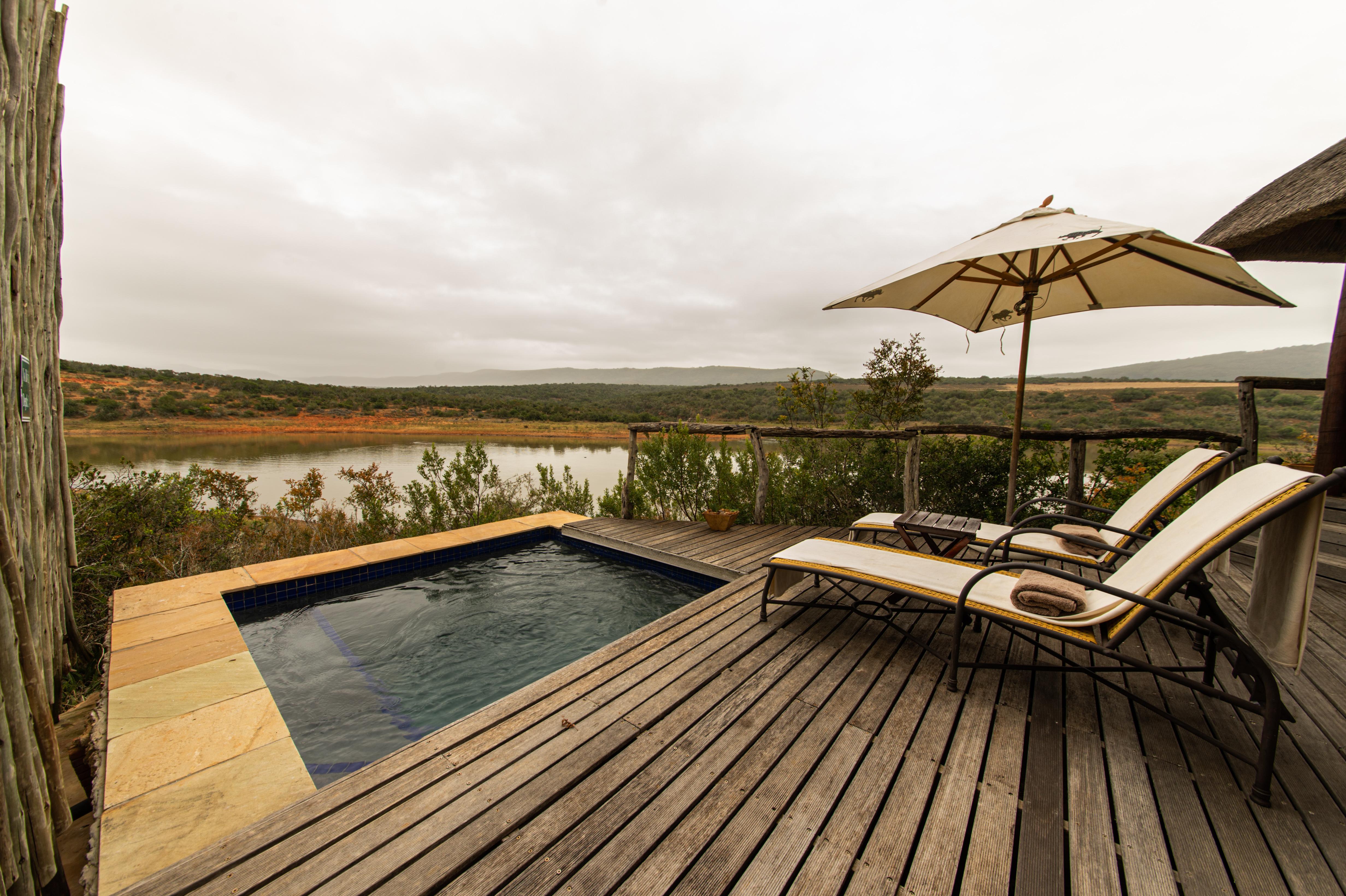 Pumba Private Game Reserve Port Elizabeth Ngoại thất bức ảnh