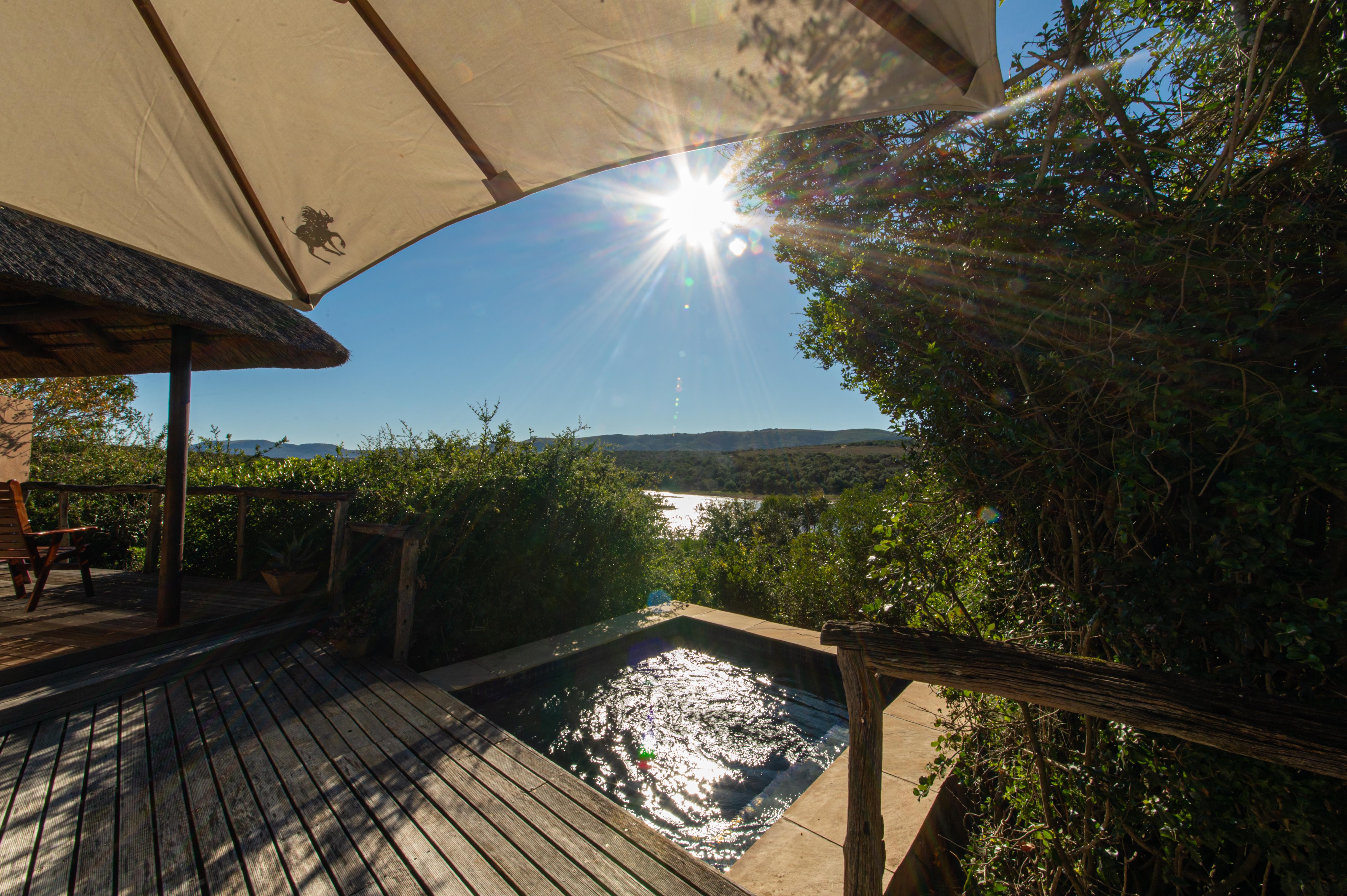 Pumba Private Game Reserve Port Elizabeth Ngoại thất bức ảnh