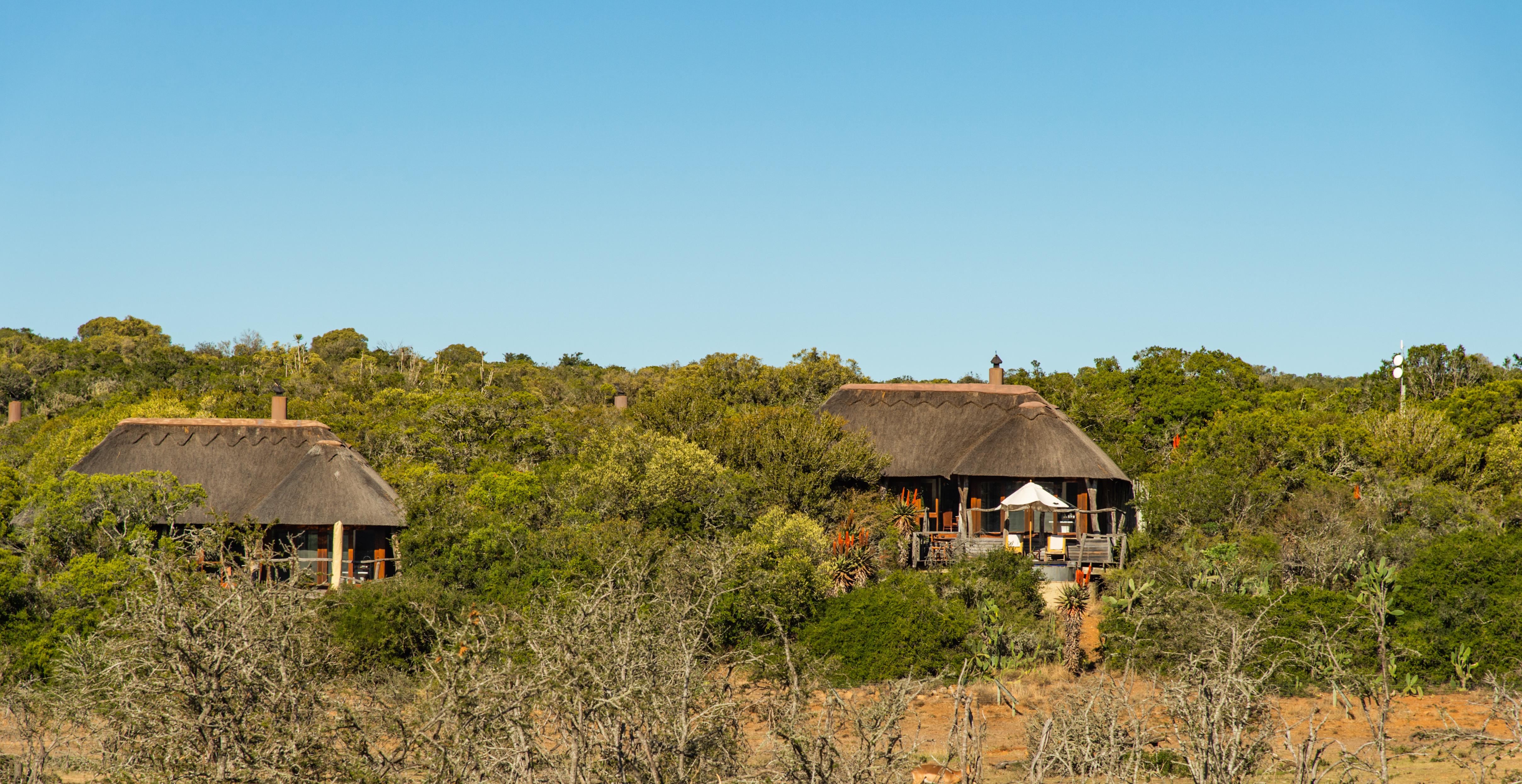 Pumba Private Game Reserve Port Elizabeth Ngoại thất bức ảnh