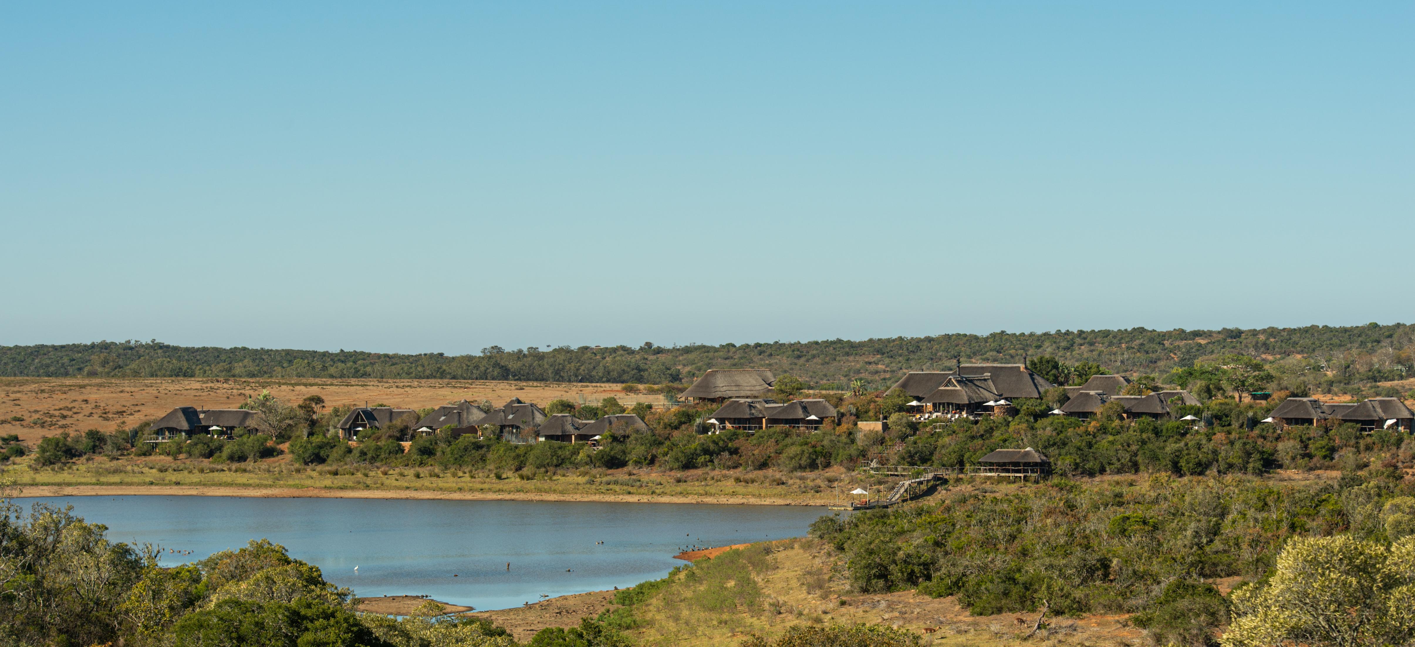 Pumba Private Game Reserve Port Elizabeth Ngoại thất bức ảnh