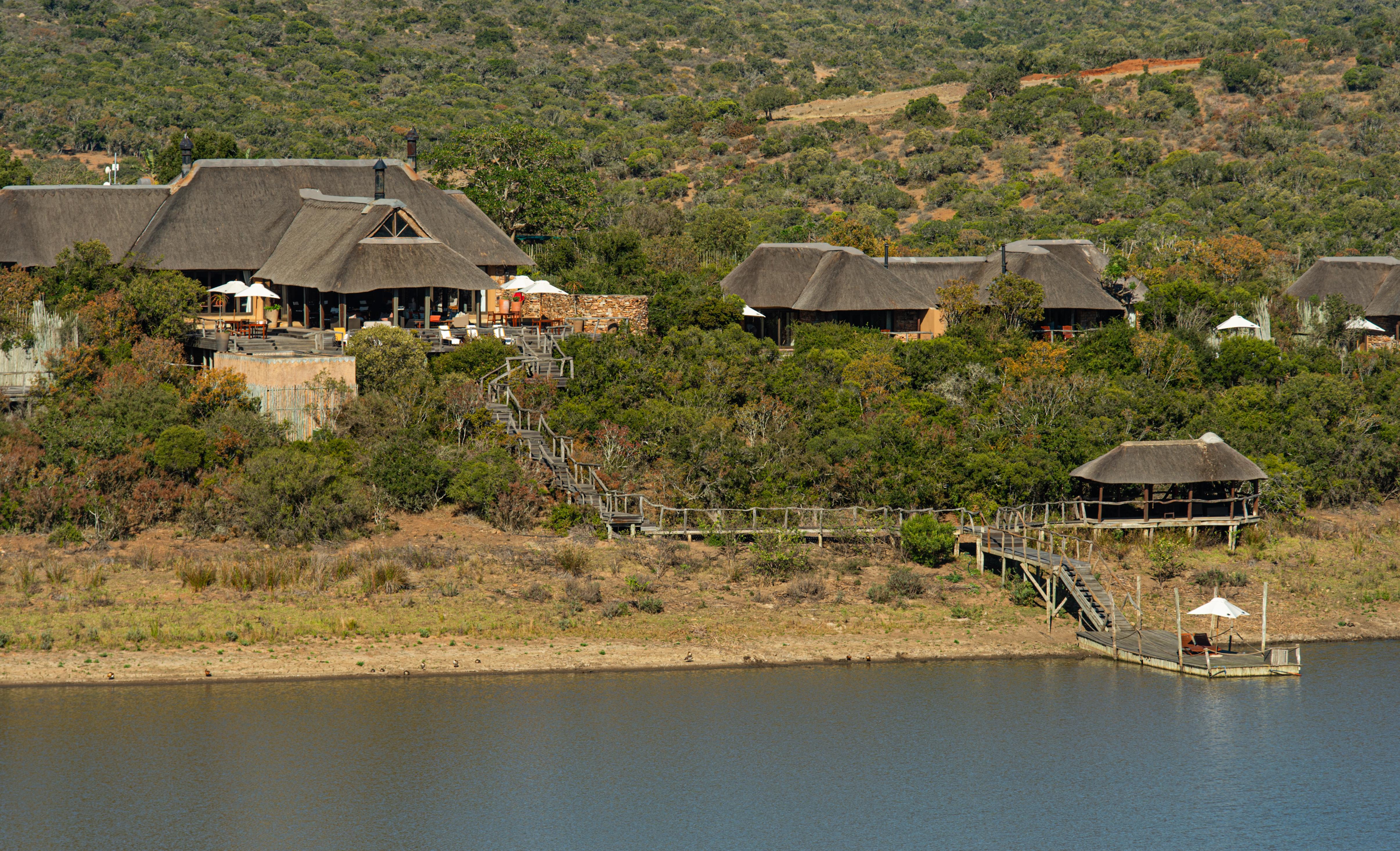 Pumba Private Game Reserve Port Elizabeth Ngoại thất bức ảnh