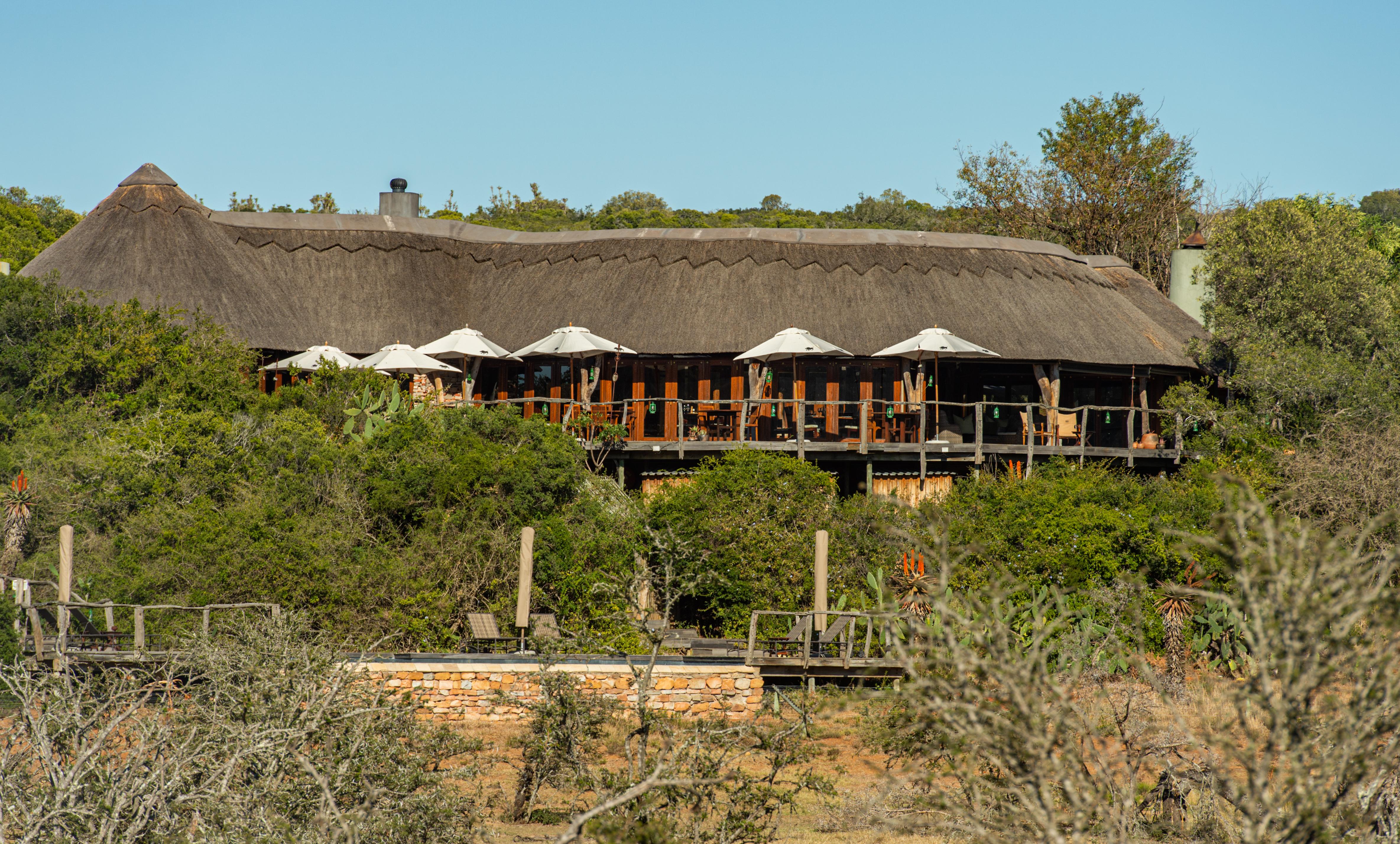 Pumba Private Game Reserve Port Elizabeth Ngoại thất bức ảnh
