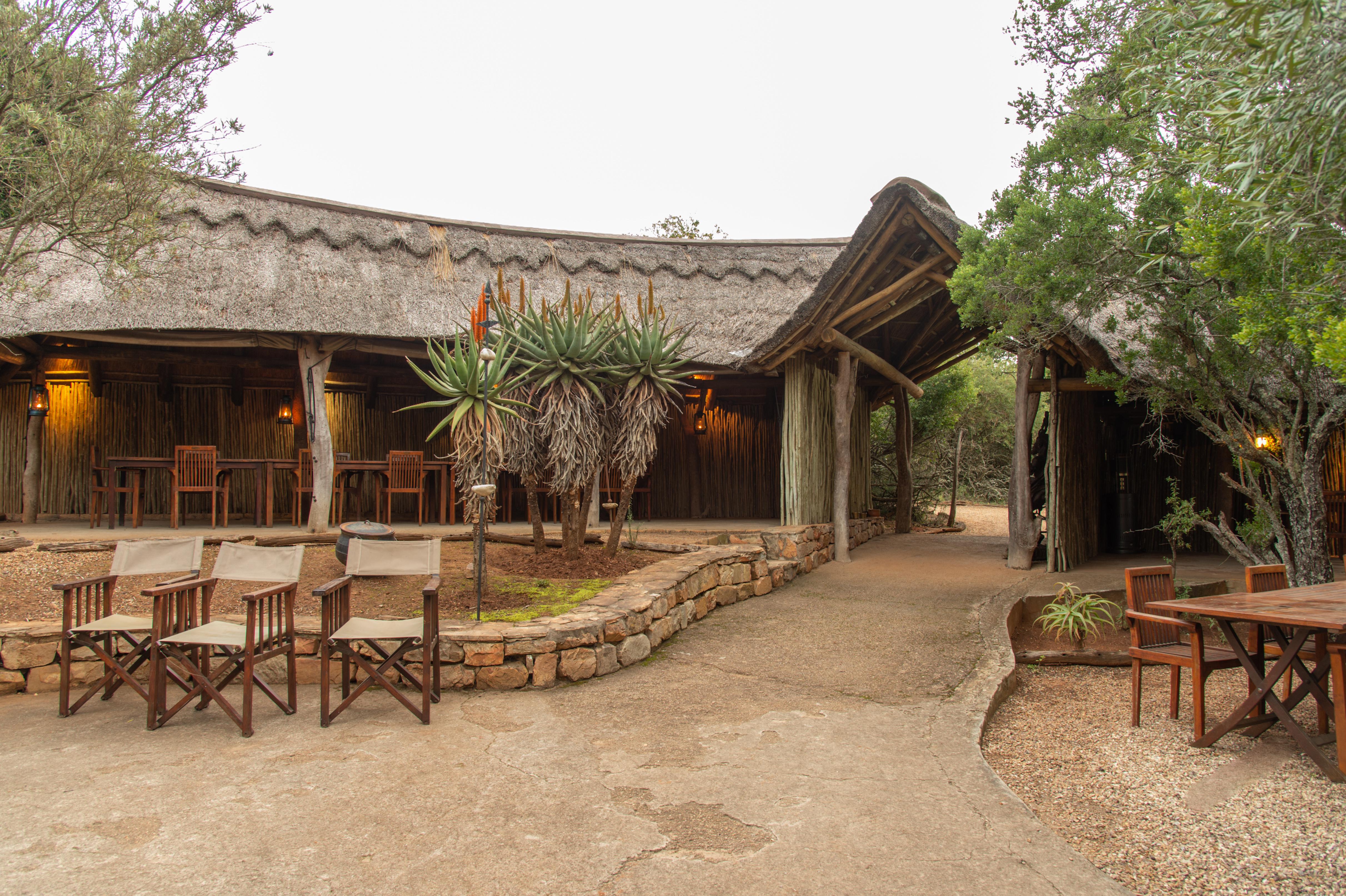 Pumba Private Game Reserve Port Elizabeth Ngoại thất bức ảnh