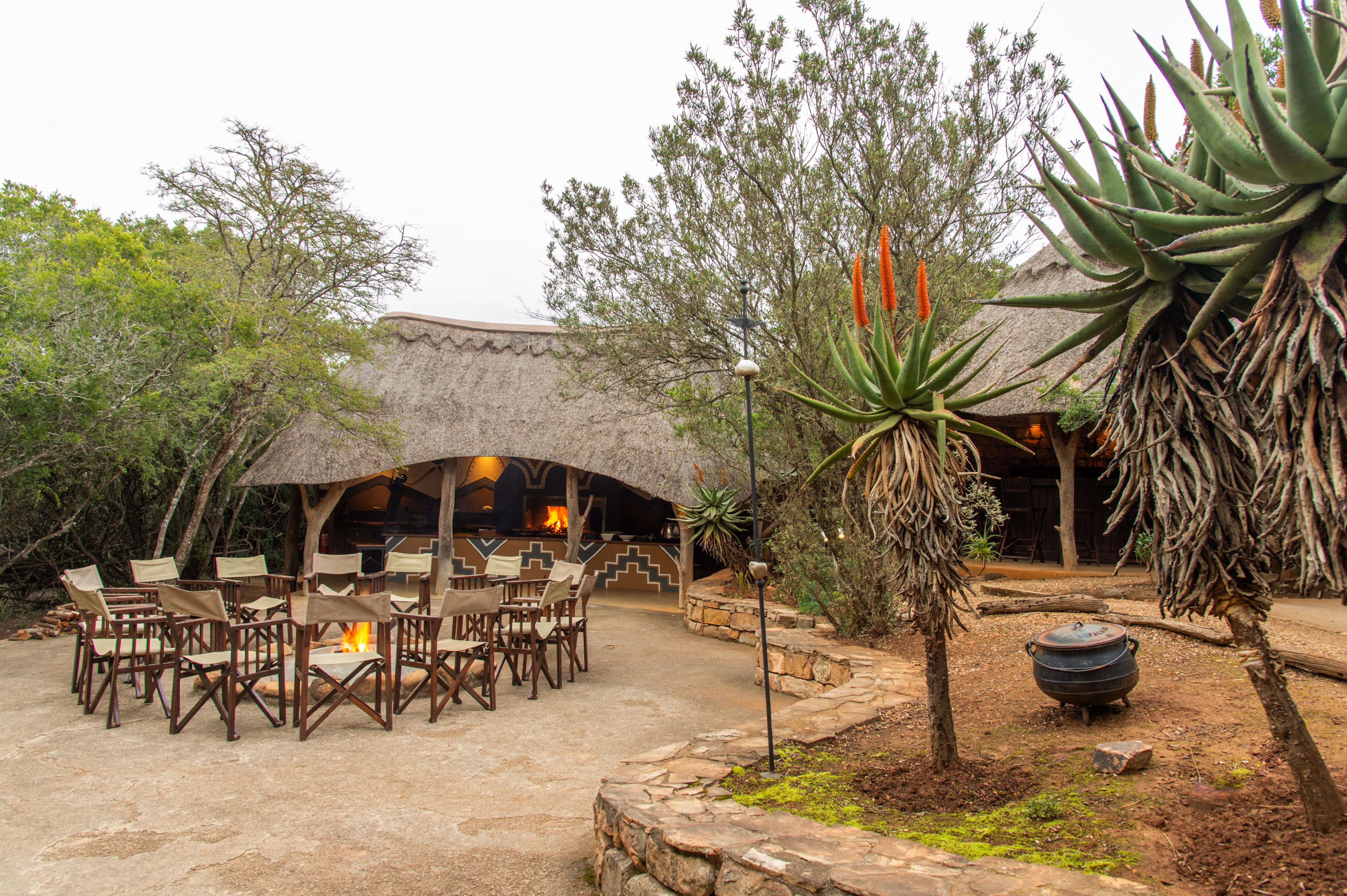 Pumba Private Game Reserve Port Elizabeth Ngoại thất bức ảnh