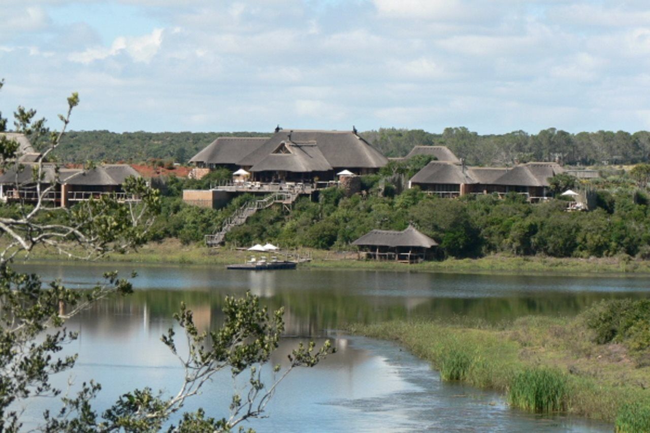 Pumba Private Game Reserve Port Elizabeth Ngoại thất bức ảnh